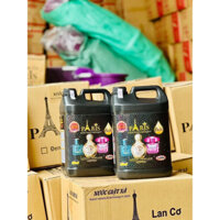 Nước giặt Paris Ánh Dương, hương nước hoa_Can 5Lit, Hàng chuẩn công ty Labido Ánh Dương