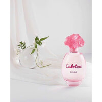 Nước hoa Cabotine Rose 100ml