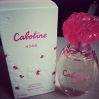 Nước hoa Cabotine Rose