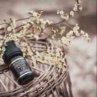 Nước hoa cô bé Dionel secret love