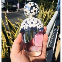 Nước hoa Daisy Dream Marc Jacob 100ml
