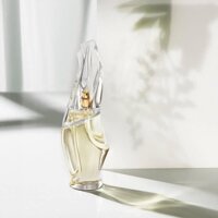 Nước hoa Donna Karan Cashmere Mist