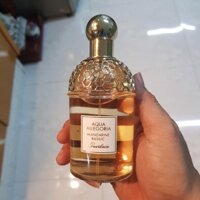 Nước Hoa Guerlain Aqua Allegoria Mandarin Basillic 75ml