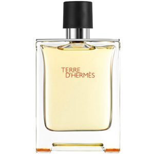 Nước hoa Hermes Terre Eau De Toilette 200ml