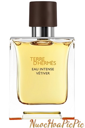 Nước hoa Hermes Terre Eau De Toilette 50ml