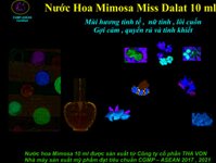 Nước hoa Mimosa 10 ml