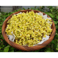 Nước hoa mộc hương cao cấp 10ml quyến rũ ngọt ngào