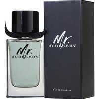 Nước hoa nam Burberry Mr Burberry EDT 100ml