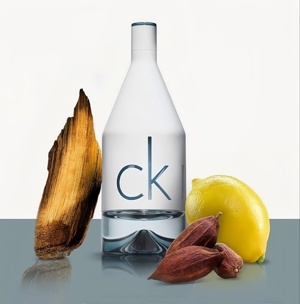 Nước hoa nam Calvin Klein Him CKIN2U - 100ml