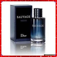 Nước hoa Nam Dior-Dior Sauvage 100ml