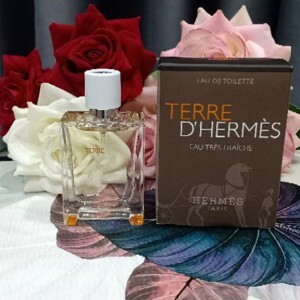 Nước hoa nam Hermes Terre Perfume Eau de perfume 12.5ml