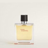 Nước hoa nam Terre D'Hermes Paris Parfum Pure Perfume
