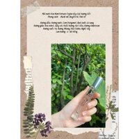 Nước Hoa Nam Versace 10ml