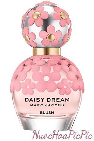 Nước hoa nữ Daisy Dream Blush 50ml