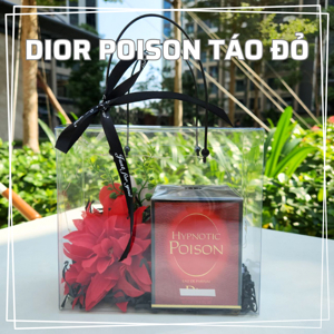 Nước Hoa Nữ Dior Hypnotic Poison 100ml