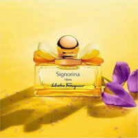 nước hoa salvatore ferragamo signorina