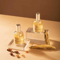 NƯỚC HOA TÓC&BODY AMBREE ( Dupe Narcis0 Ambree)