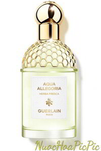 Nước Hoa Unisex Guerlain Aqua Allegoria Herba Fresca Edt 75ml (1999)