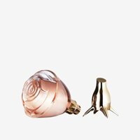 Nước hoa Volare Eau De Parfum 30025 Oriflame