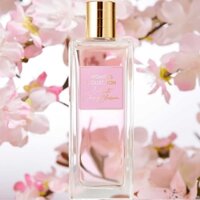 NƯỚC HOA - WOMEN'S COLLECTION DELICATE CHERRY BLOSSOM EAU DE TOILETTE.