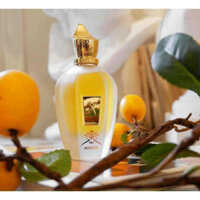 Nước hoa Xerjoff Naxos _ nasox