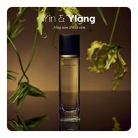 Nước hoa Yin & Ylang