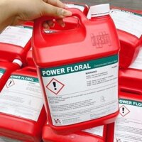 Nước lau sàn 💓FREE SHIP💓 Nước lau sàn bệnh viện khử mùi power floral Can 5l Klenco Singapor