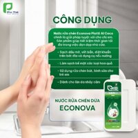 NƯỚC RỬA CHÉN THẢO MỘC DỪA GIÀ- PIATTI AL COCCO