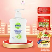 Nước rửa tay diệt khuẩn Dettol Hand Wash dưỡng da 250ml - QuaTangMe Extaste - Dưỡng Da Nha Đam