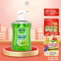 Nước rửa tay diệt khuẩn Dettol Hand Wash dưỡng da 250ml - QuaTangMe Extaste - Hương Chanh