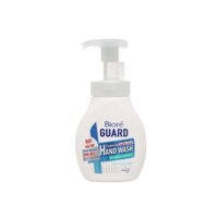 Nước rửa tay kháng khuẩn tạo bọt Biore Guard hương khuynh diệp chai 250ml