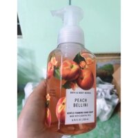 NƯỚC RỬA TAY TẠO BỌT BATH & BODY WORKS Gentle Foaming Hand Soap made with assential oils 259ml