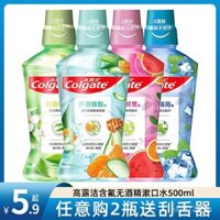 Nước súc miệng Colgate kháng khuẩn loại bỏ mùi hương chăm sóc nướu hơi thở thơm mát cho phụ nữ mang thai vệ sinh răng miệng với florua