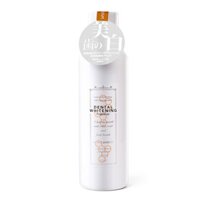 Nước súc miệng Propolinse Dental Whitening làm trắng răng 600ml - Nhật Bản