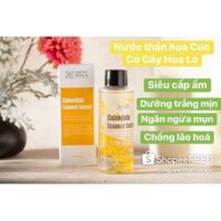 NƯỚC THẦN HOA CÚC