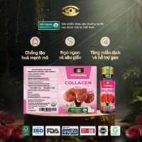 Nước uống Collagen Bio 4 in 1 VOS Ganolucidum chiết xuất nấm linh chi hỗ trợ làm đẹp da