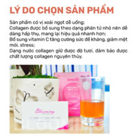 Nước Uống INNER B Glowshot Collagen Căng Mịn Sáng Da 300ml (50ml x 6 Chai)