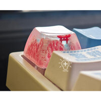 Nút bàn phím cơ Keycap lẻ resin artisan thiên nhiên xuyên LED đẹp