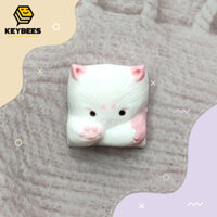 Nút bàn phím cơ Keysune Keycap Hồng