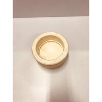 Nút bịt Pi 110 Ống nhựa PPR Vesbo