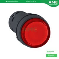 Nút nhấn có đèn Led Ø22 220V loại liền thân Schneider XB7NW34M1