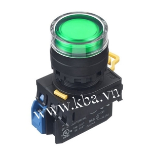 Nút nhấn có đèn loại nhấn nhả Idec Izumi YW1L-MF2E10Q4G