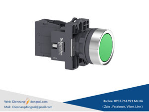 Nút nhấn tự giữ Schneider XA2EH031