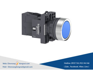 Nút nhấn tự giữ Schneider XA2EH061