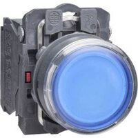 Nút nhấn XB5AW36M5 Schneider có đèn 220Vac màu xanh 1NO +1NC