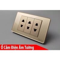 Ổ Cắm 2 Chấu - 3 Slot Cao Cấp TENKO TK-C9-020 Vàng