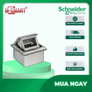 Ổ cắm âm sàn schneider CON224_ABE_G5