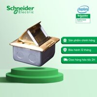 Ổ cắm âm sàn Schneider E224F_BAS cho S-Flexi màu nhũ vàng có đế âm (không kèm ổ cắm)