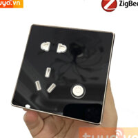 Ổ Cắm Âm Tường Hình Vuông Zigbee Tuya SHP-ZSW2