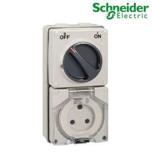 Ổ cắm có công tắc Schneider S56C315RPGY